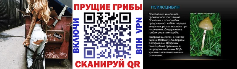 Псилоцибиновые грибы Cubensis Купить закладки Дудинка